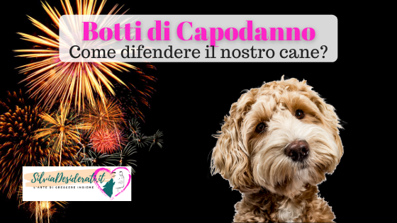 botti di Capodanno cani