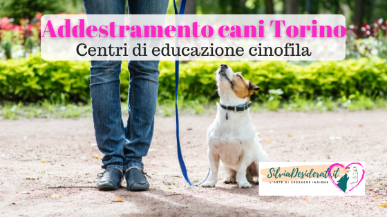 addestramento cani