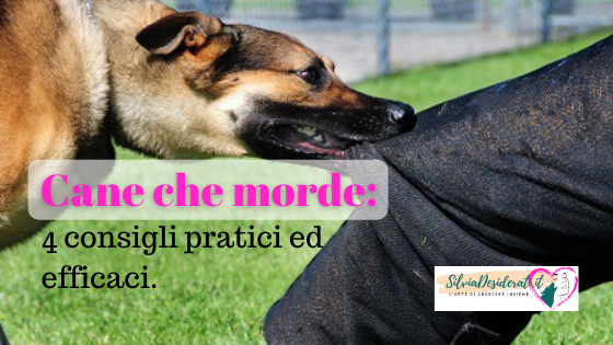 Cane che morde