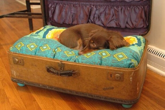 Cucce per cani da interno fai da te