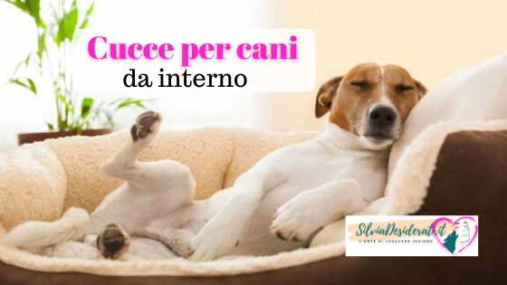 Cucce per cani da interno