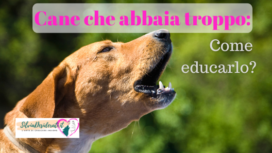 Cane che abbaia troppo