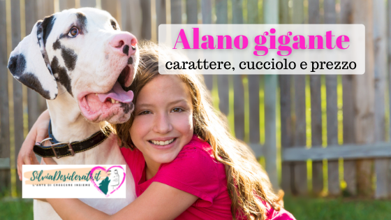 Alano: descrizione, carattere e prezzo