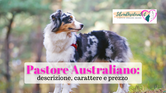 Pastore Australiano