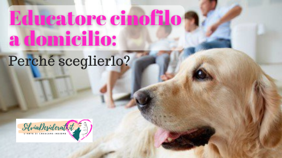 Educatore cinofilo Torino