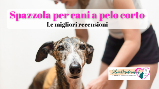 Spazzola per cani