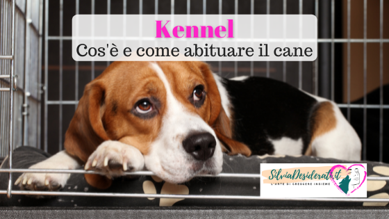 Kennel per cani