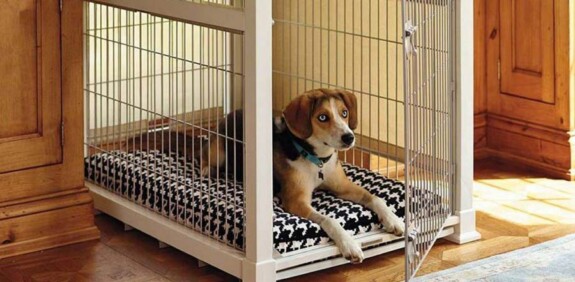 cane kennel