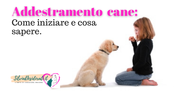 Addestramento del cane