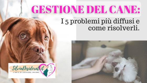 5 problemi comportamentali più diffusi