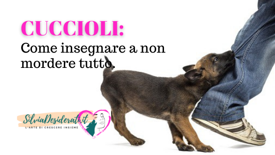 Come insegnare a non mordere