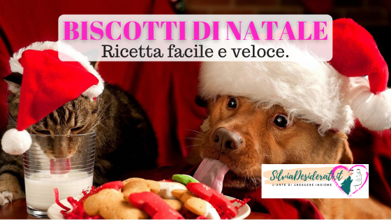 Biscotti di Natale per cani
