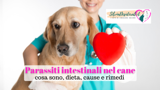 Parassiti intestinali cane