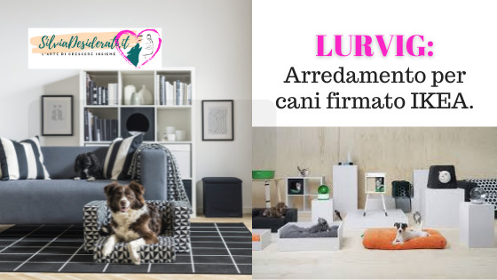 Lurvig la nuova linea per cani di IKEA