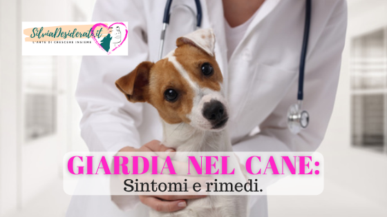Giardia nel cane