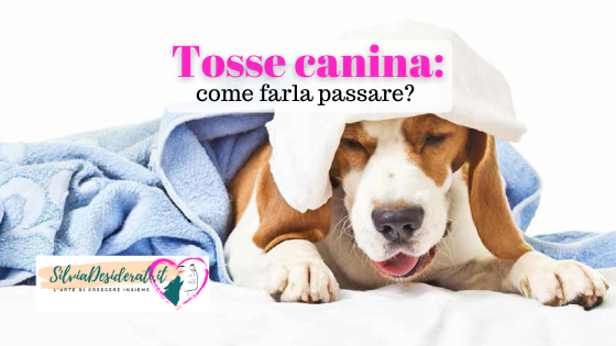 tosse canina