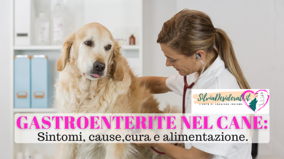 Gastroenterite nel cane