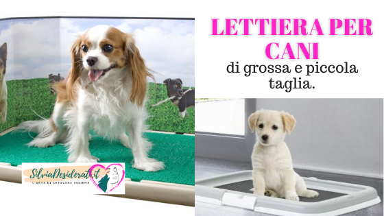 Lettiera per cani