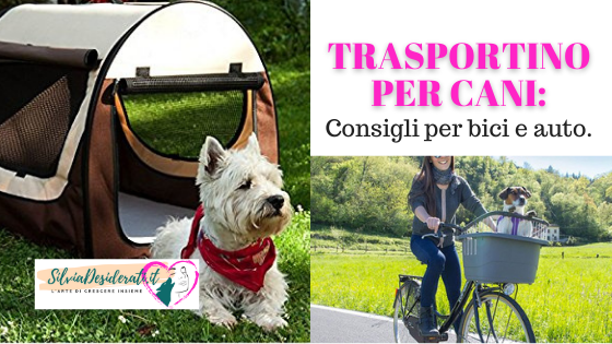 Trasportino per cani