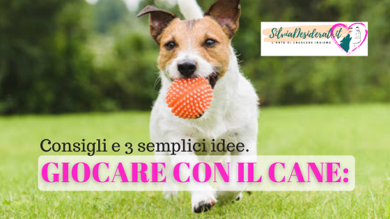 Giocare con il cane consigli
