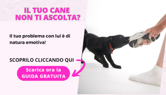 consulenza cane che non ascolta