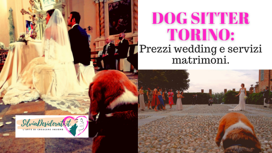 Wedding Dog Sitter