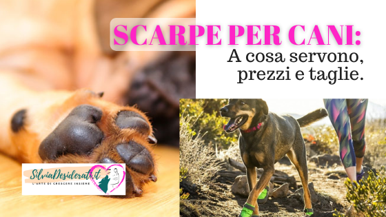 Scarpe per cani