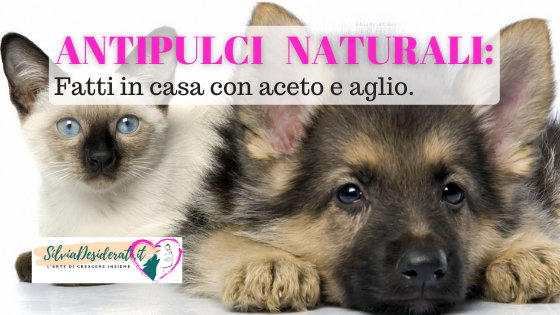 Antipulci naturali