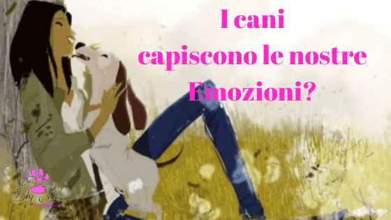 cani capiscono emozioni