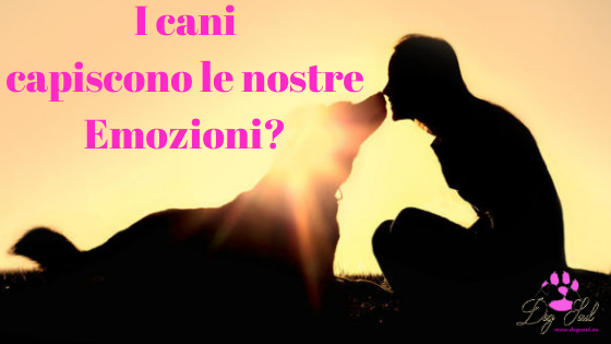 Cani ed emozioni