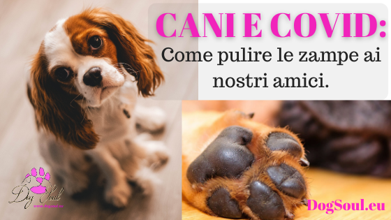 Cani e Covid