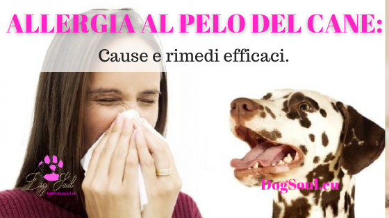 Allergia al pelo del cane