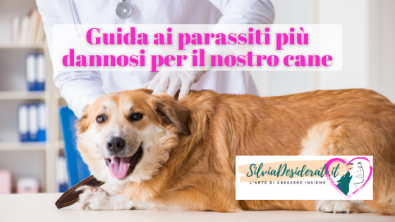 parassiti cani