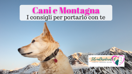 Cani e montagna