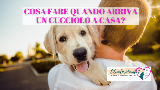 arrivo di un cucciolo