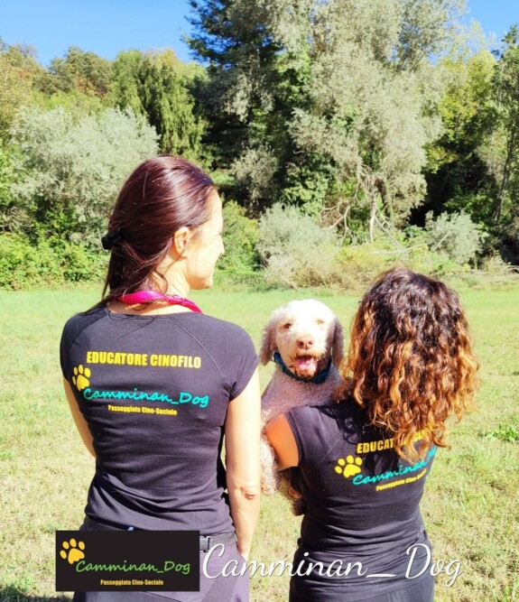 Passeggiata sociale con cani