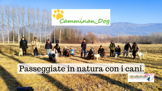 Passeggiate in natura