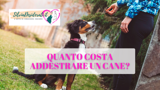 Quanto costa addestrare un cane?