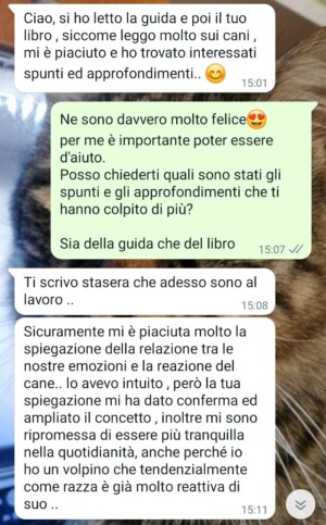 recensioni