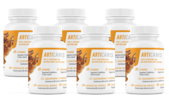 Glucosamina per cani