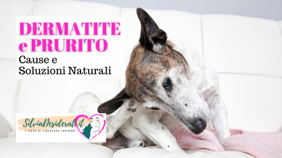 Dermatite e prurito cane