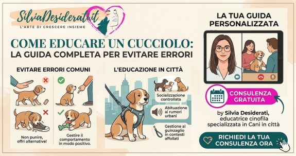 come educare un cucciolo errori da evitare